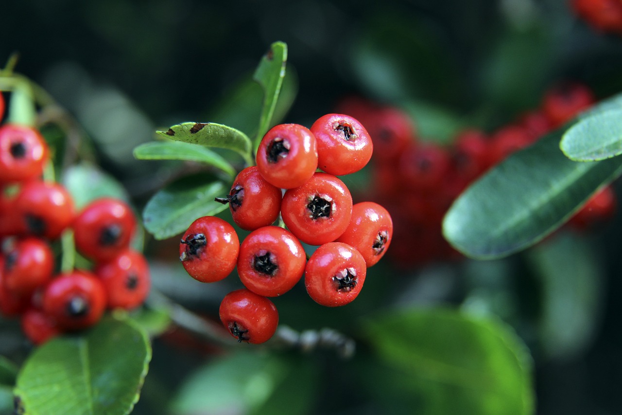 快速反应与 快速反应与