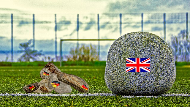 但主裁判安 但主裁判安