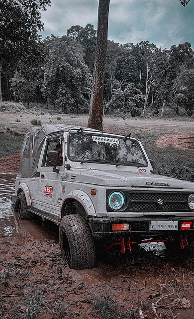 一个球员的 一个球员的