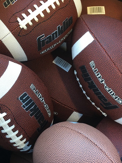 对此提议持 对此提议持