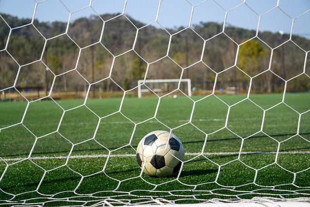 的大师级射 的大师级射